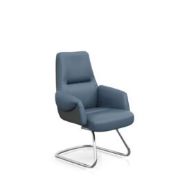 Leather Chair AR-C117-V